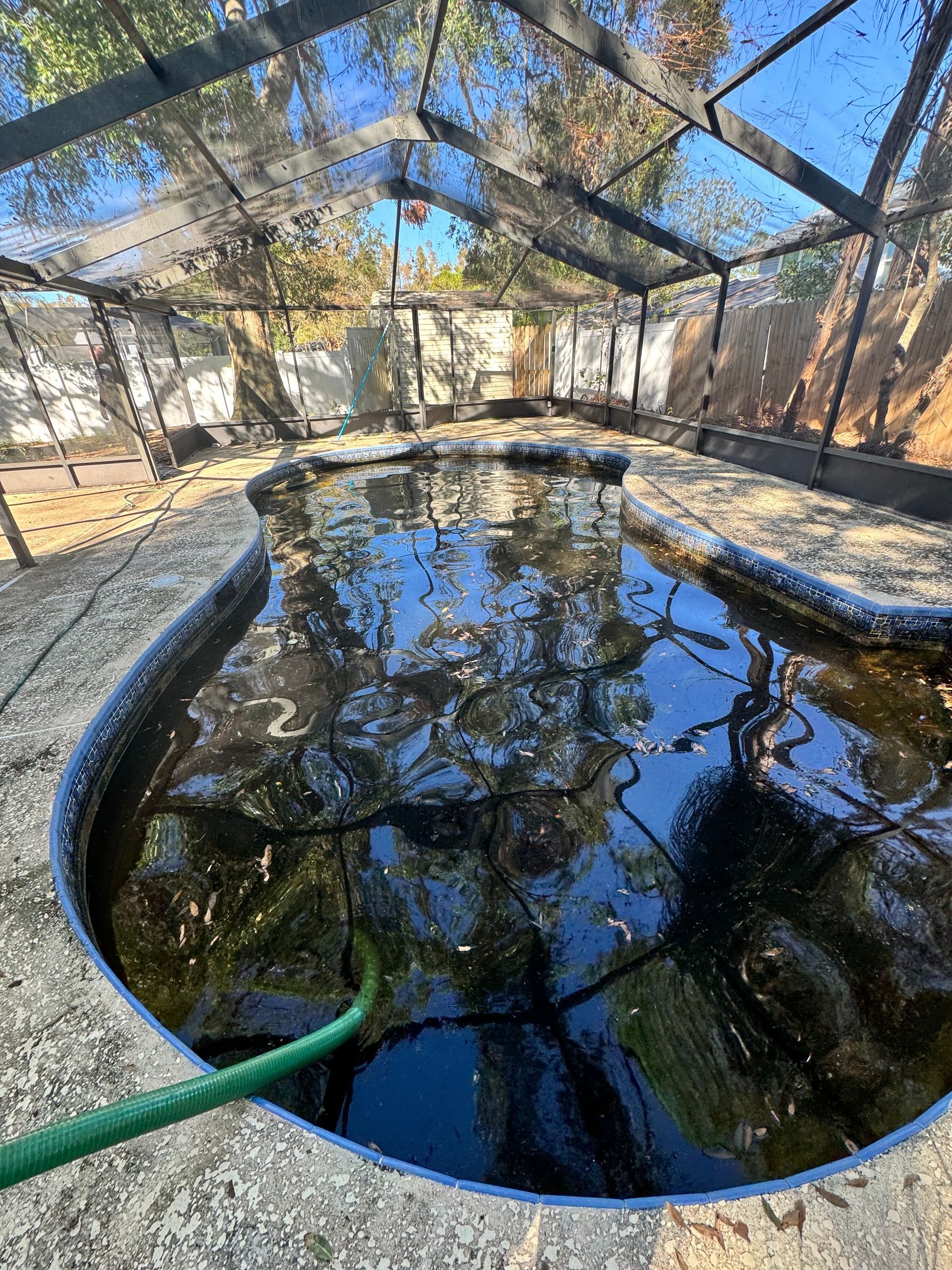 A swimming pool filled with green water and a hose.