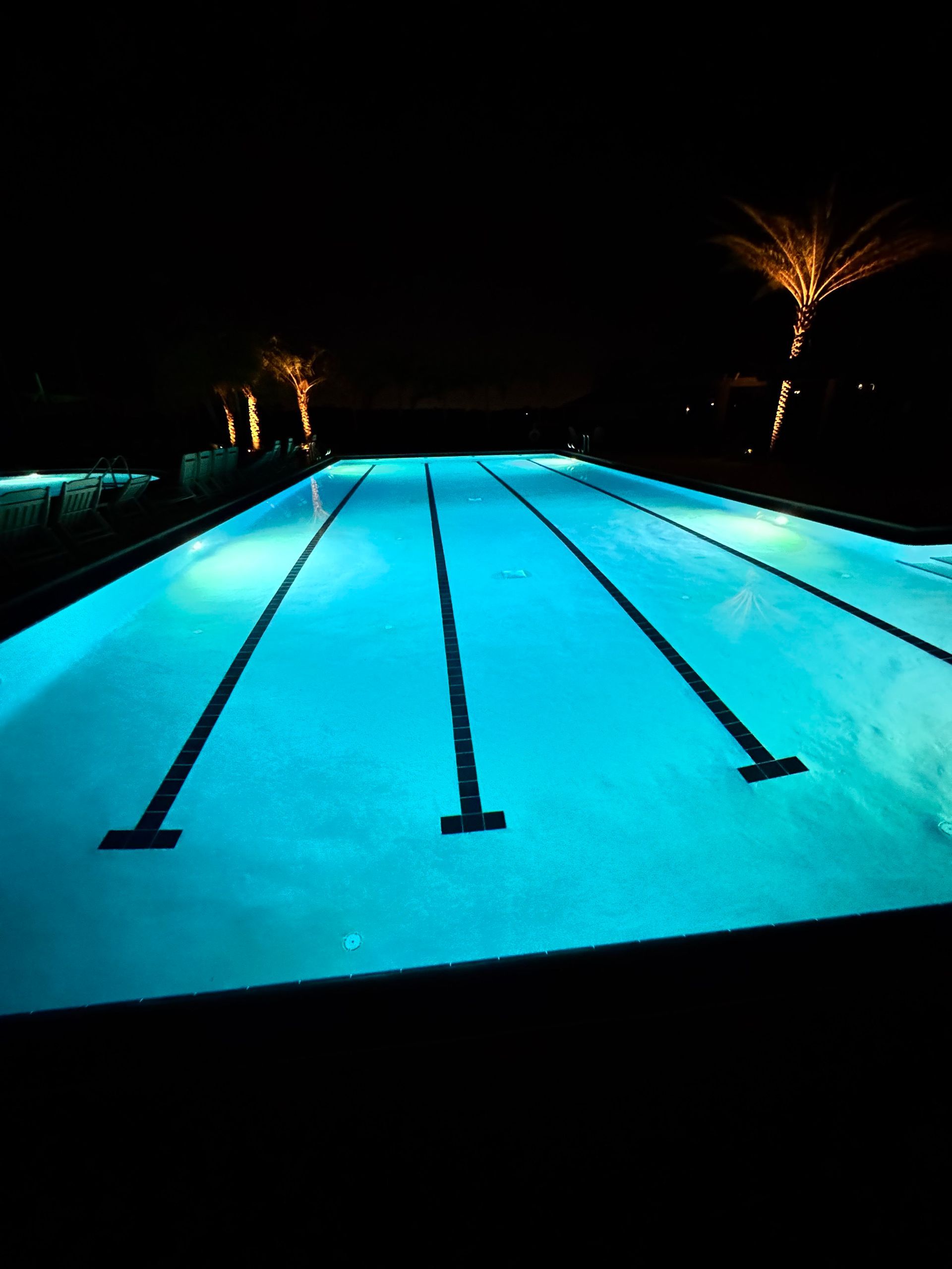 A large swimming pool is surrounded by palm trees