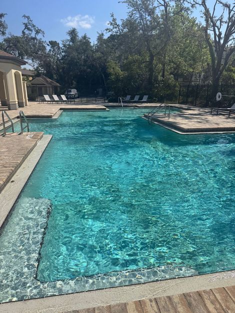 A potted plant is sitting on the edge of a swimming pool.