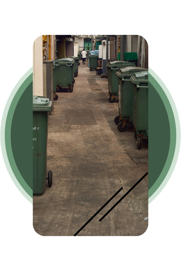 Affordable dumpster rental used for home renovation debris removal