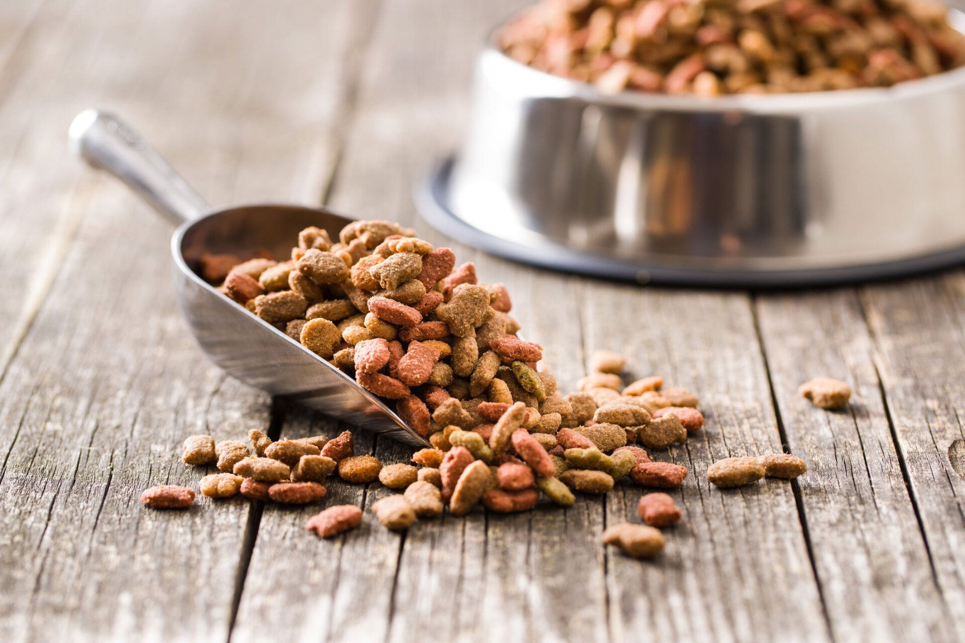 Dry Pet Food | Santa Cruz, CA | Westside Farm and Feed