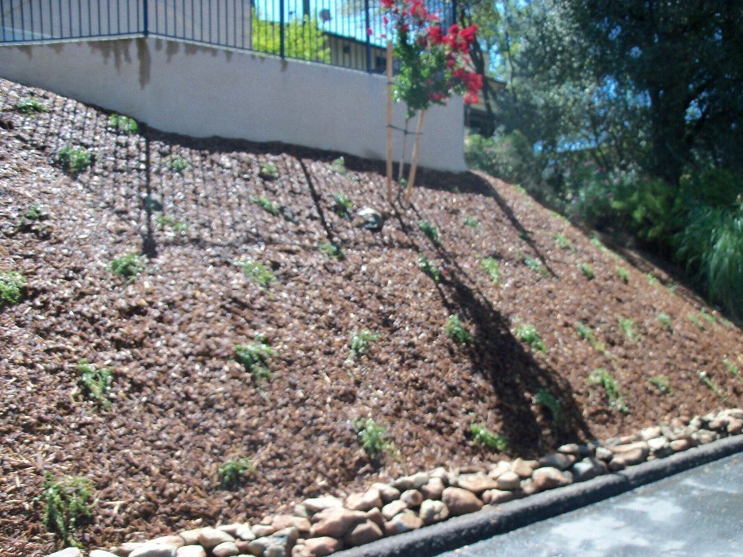 A landscaped hillside with new plants and mulch, bordered by rocks at the bottom, and a building on top.