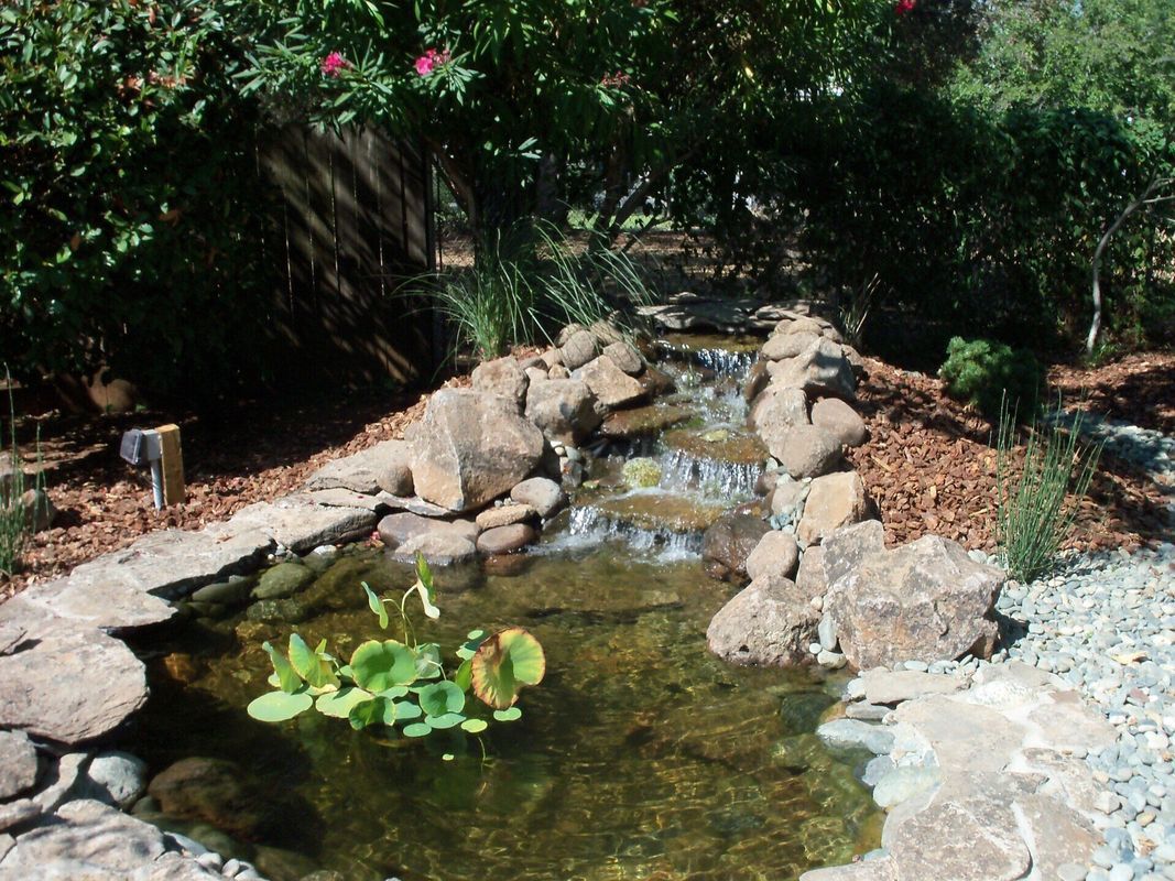 Water cascading down rocks into a small pond, surrounded by vegetation and mulch.