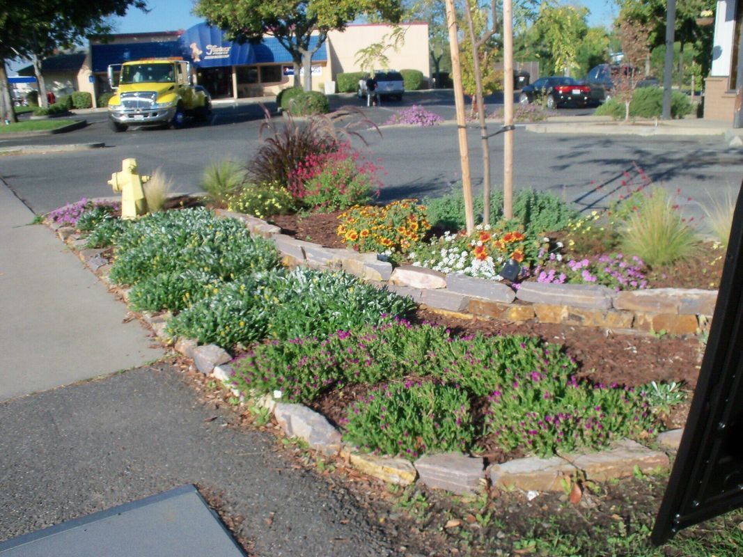 Flower garden bed edged with rocks, next to a street with a fire hydrant and a yellow truck.
