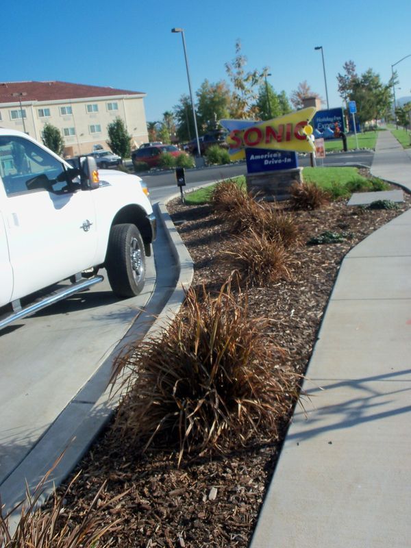 White truck parked next to curb with dry brown grass and Sonic restaurant sign in background.