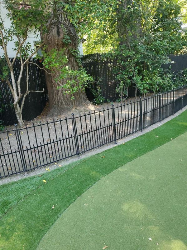 Black metal fence bordering green turf and natural foliage.