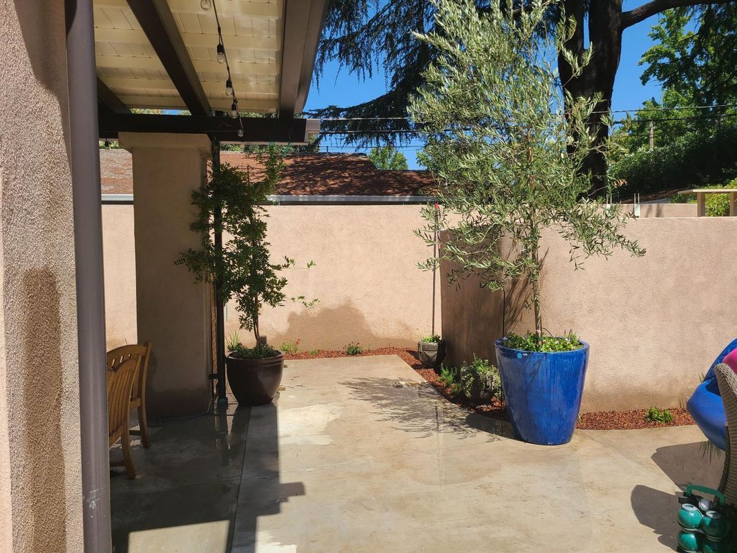 Patio with a blue planter, tree, and pink stucco wall.