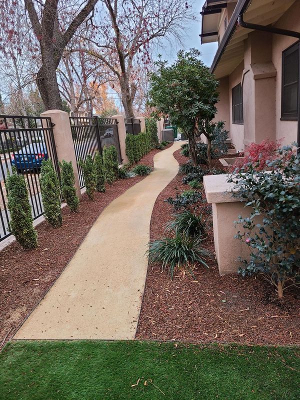 Pathway lined with shrubs and a fence, leading alongside a light-colored building.