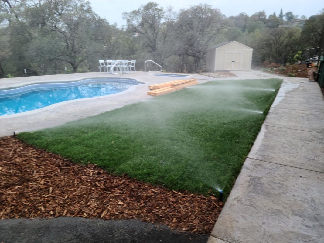Sprinklers watering green grass next to a pool and concrete patio; shed in background.