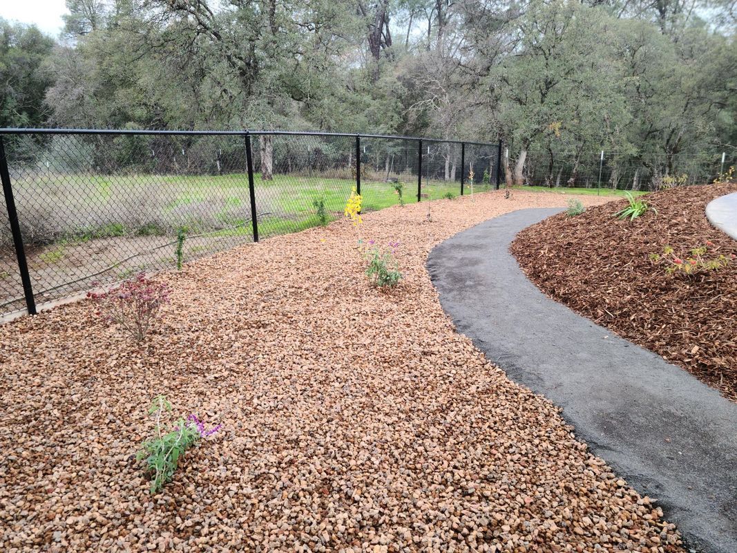 A winding paved path borders a flower bed with mulch, a black fence, and trees in a park.
