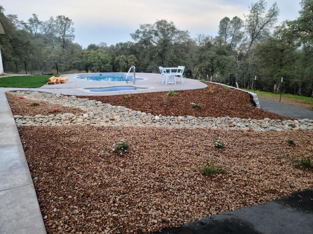 Backyard landscape with pool, mulch, and small plants. Overcast sky and surrounding trees.