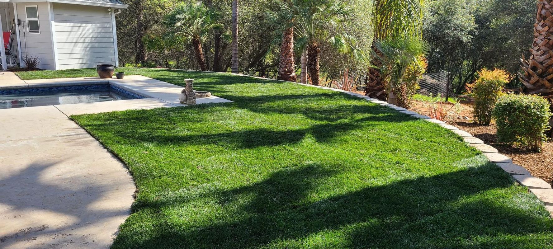 Green lawn with a pool and trees in the background. Sunny day.