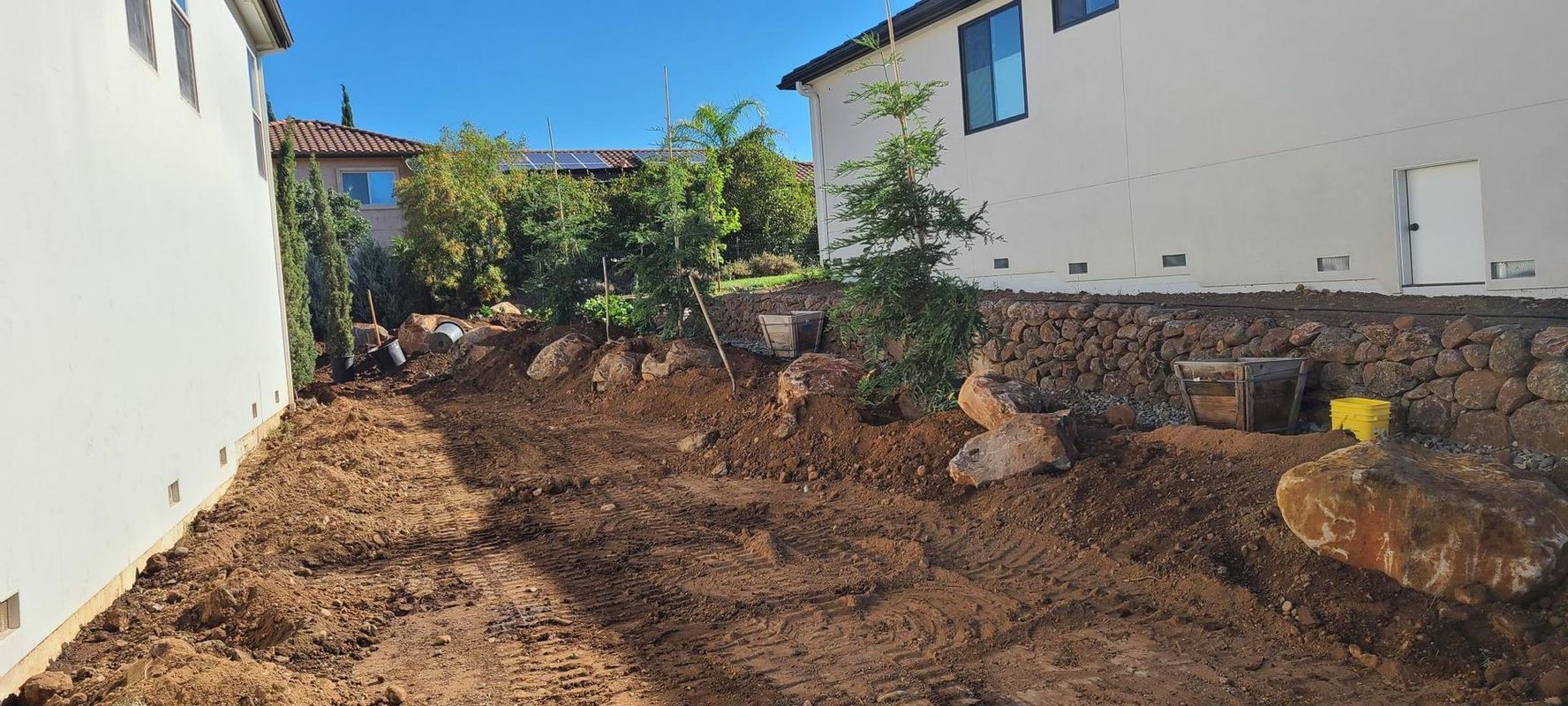 Backyard with bare soil, rocks, young trees, and two-story houses under a blue sky.
