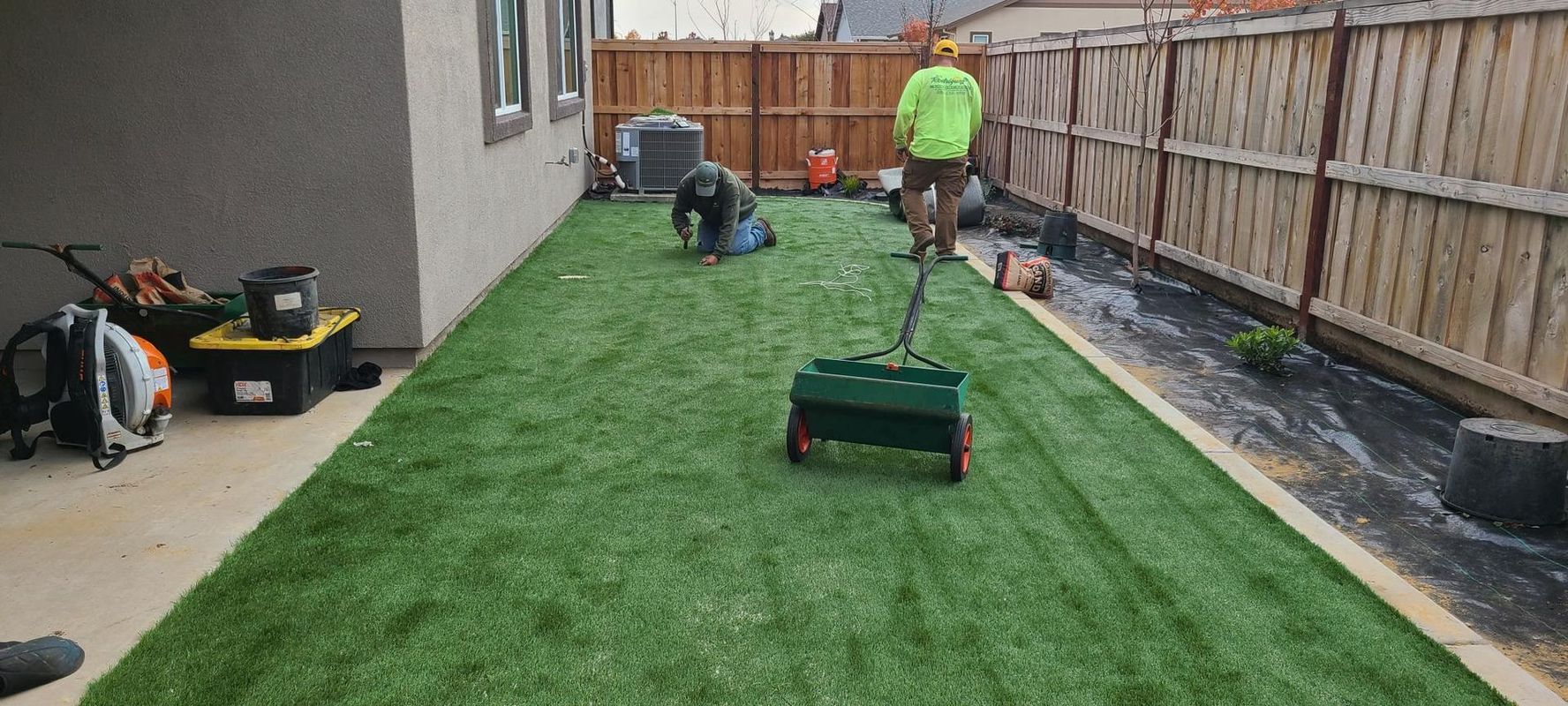 Two workers spreading fertilizer on a newly installed green turf in a backyard. A fence lines one side.