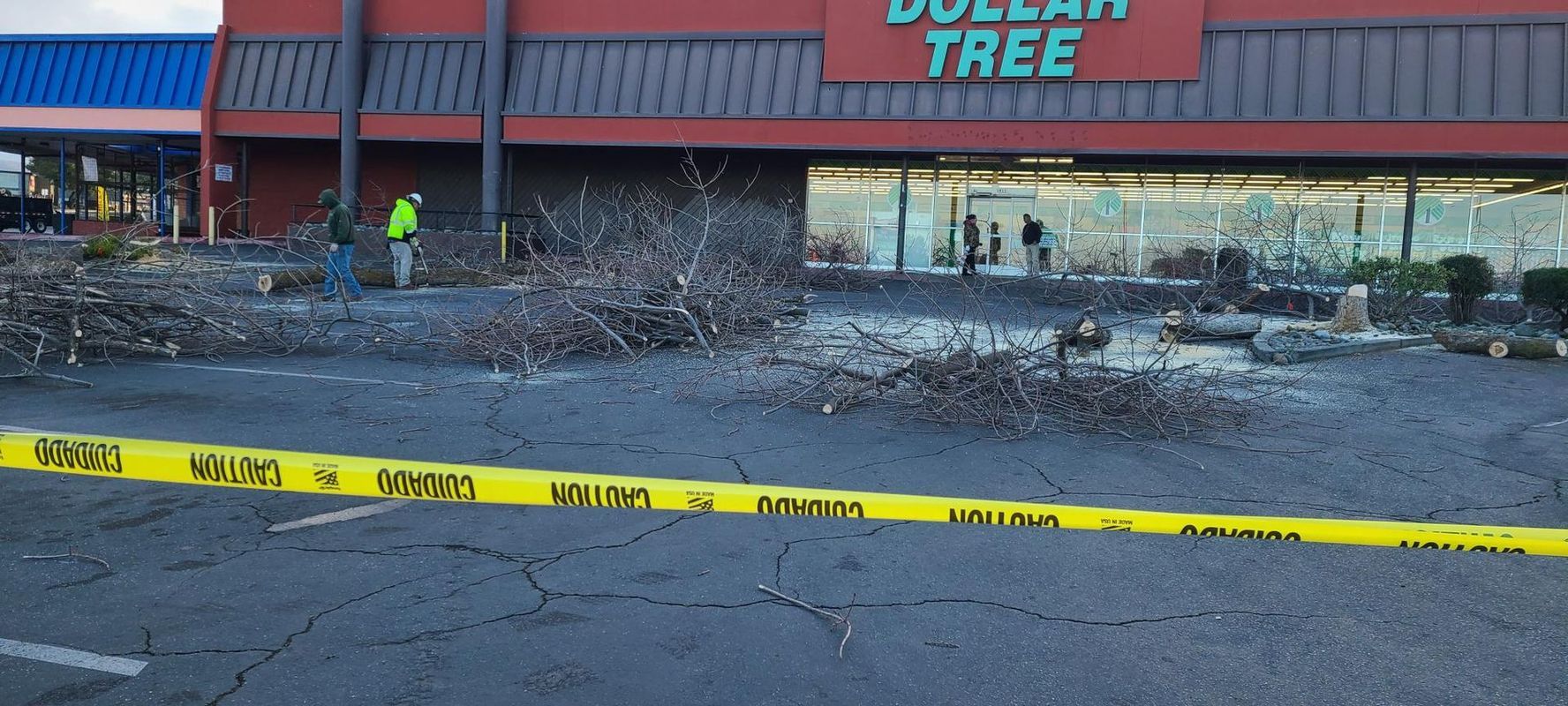 Dollar Tree store with branches and caution tape.