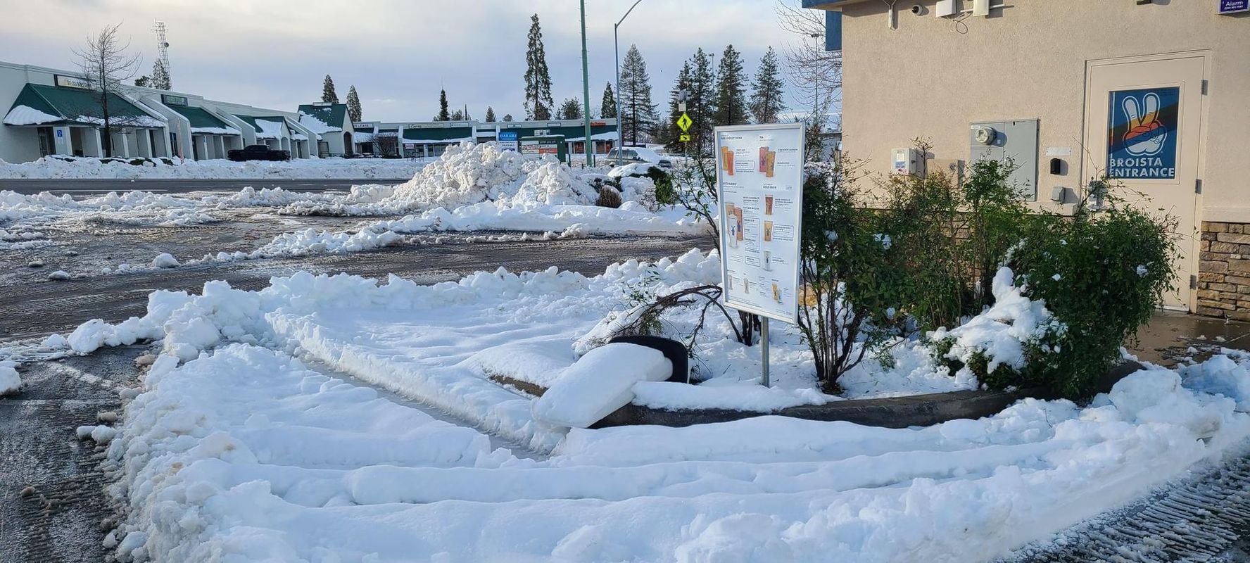 Snow-covered parking lot with buildings in the background. A sign and bushes are covered in snow in the foreground.