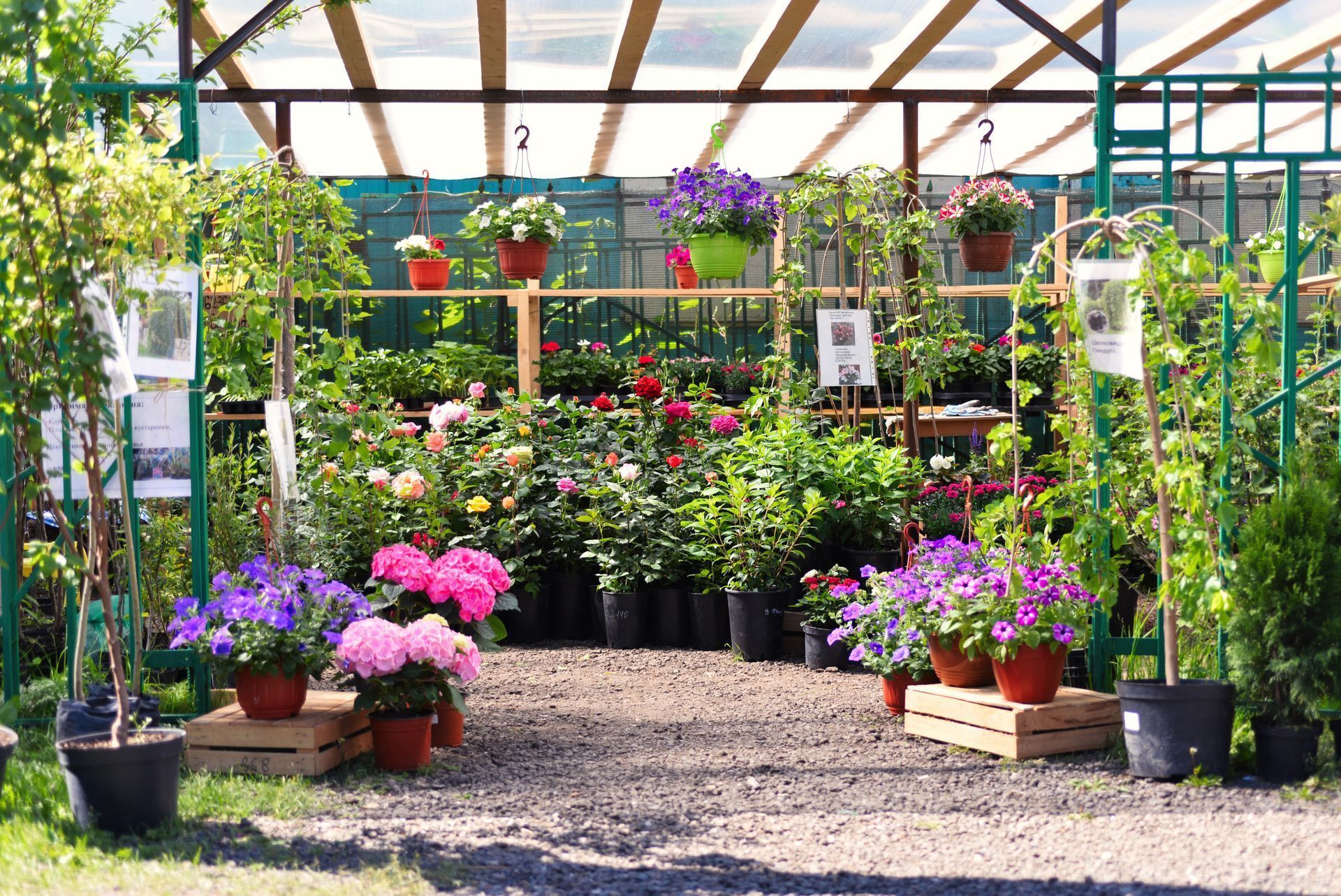 Greenhouse display of potted flowers and plants in various colors.