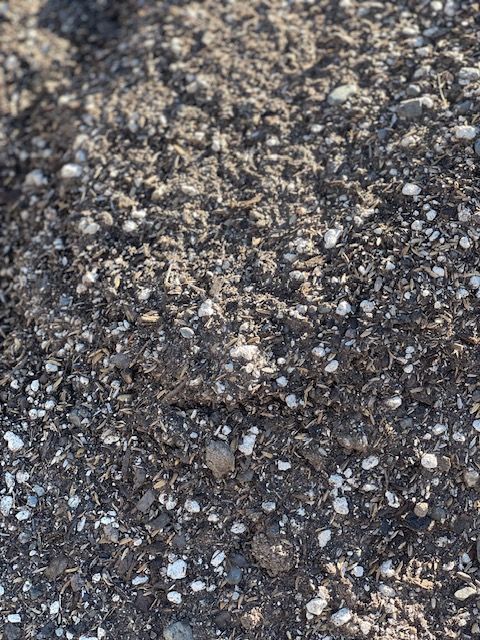 Dark, textured soil with small white pebbles.