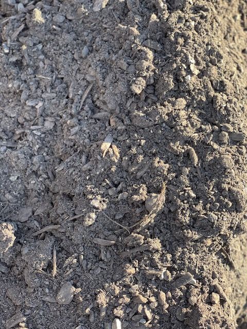 Pile of dark soil with small pebbles and organic matter.