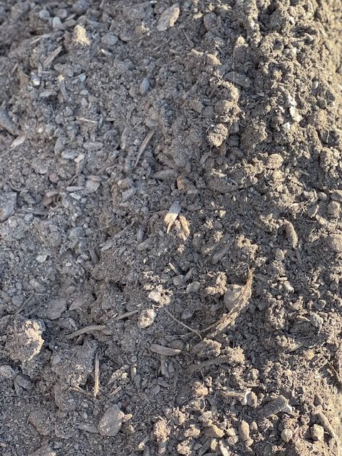 Close-up of gray, mixed soil with small rocks and organic matter.
