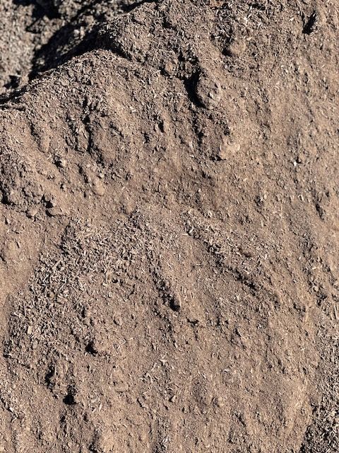 Pile of dark brown soil.