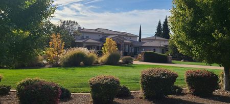 Lush green lawn with trimmed shrubs in front of a multi-story house on a sunny day.