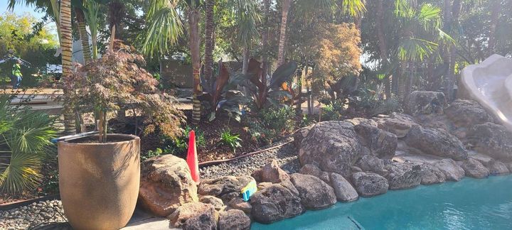 Poolside landscaping with rocks, trees, and a terracotta pot.