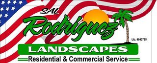 Sal Rodriguez Landscapes 