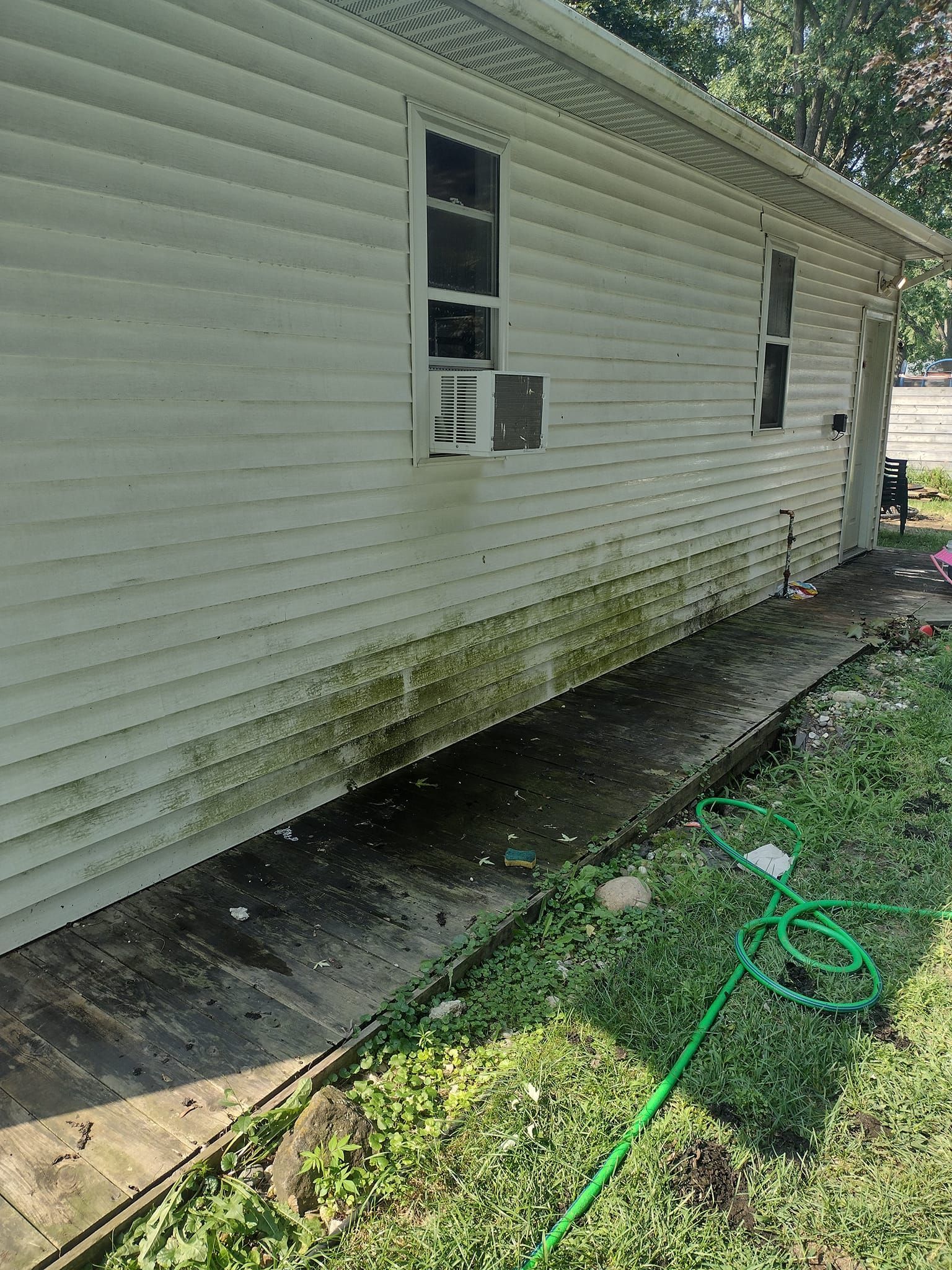 Side of a white house with green algae growth near a concrete walkway and green lawn.