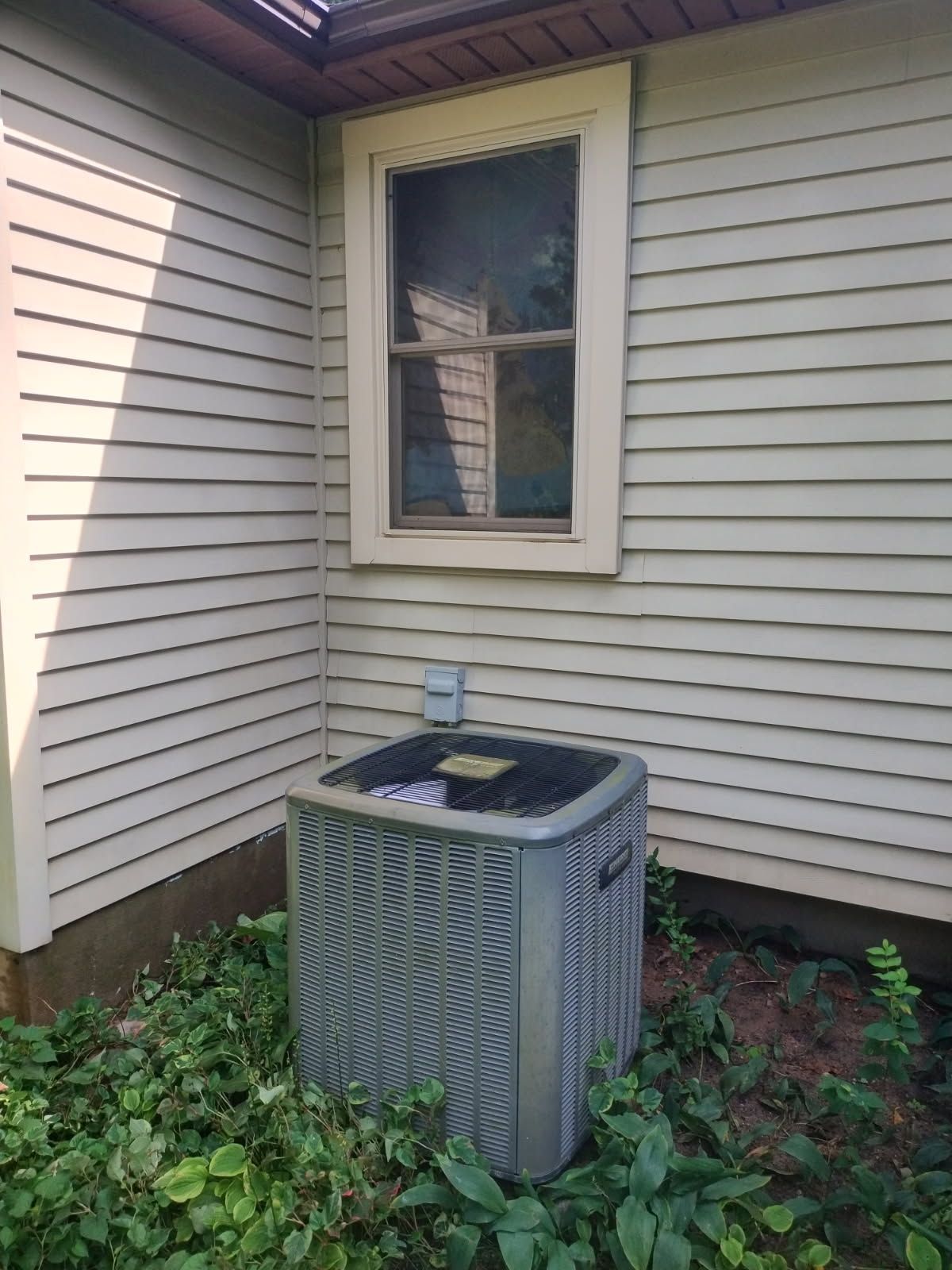 Air conditioner unit in overgrown vegetation, below a window on a white siding wall.