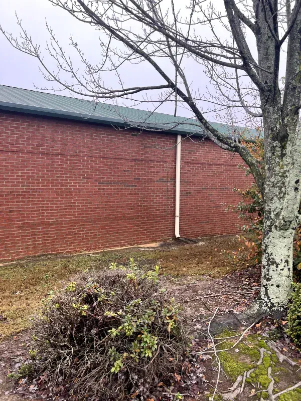 Red brick building with a green roof, white downspout, and leafless tree on the right.