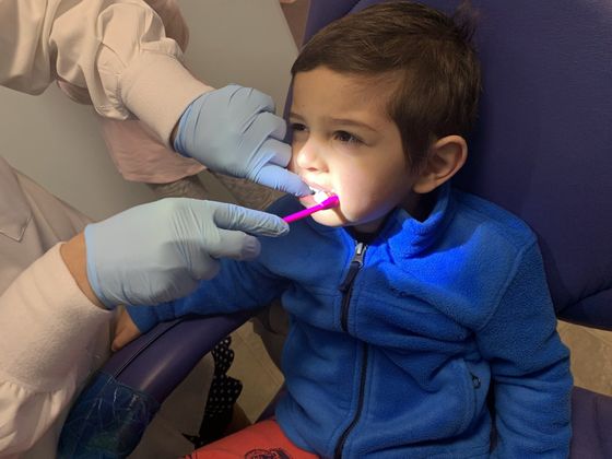 dentist checking little boy's teeth