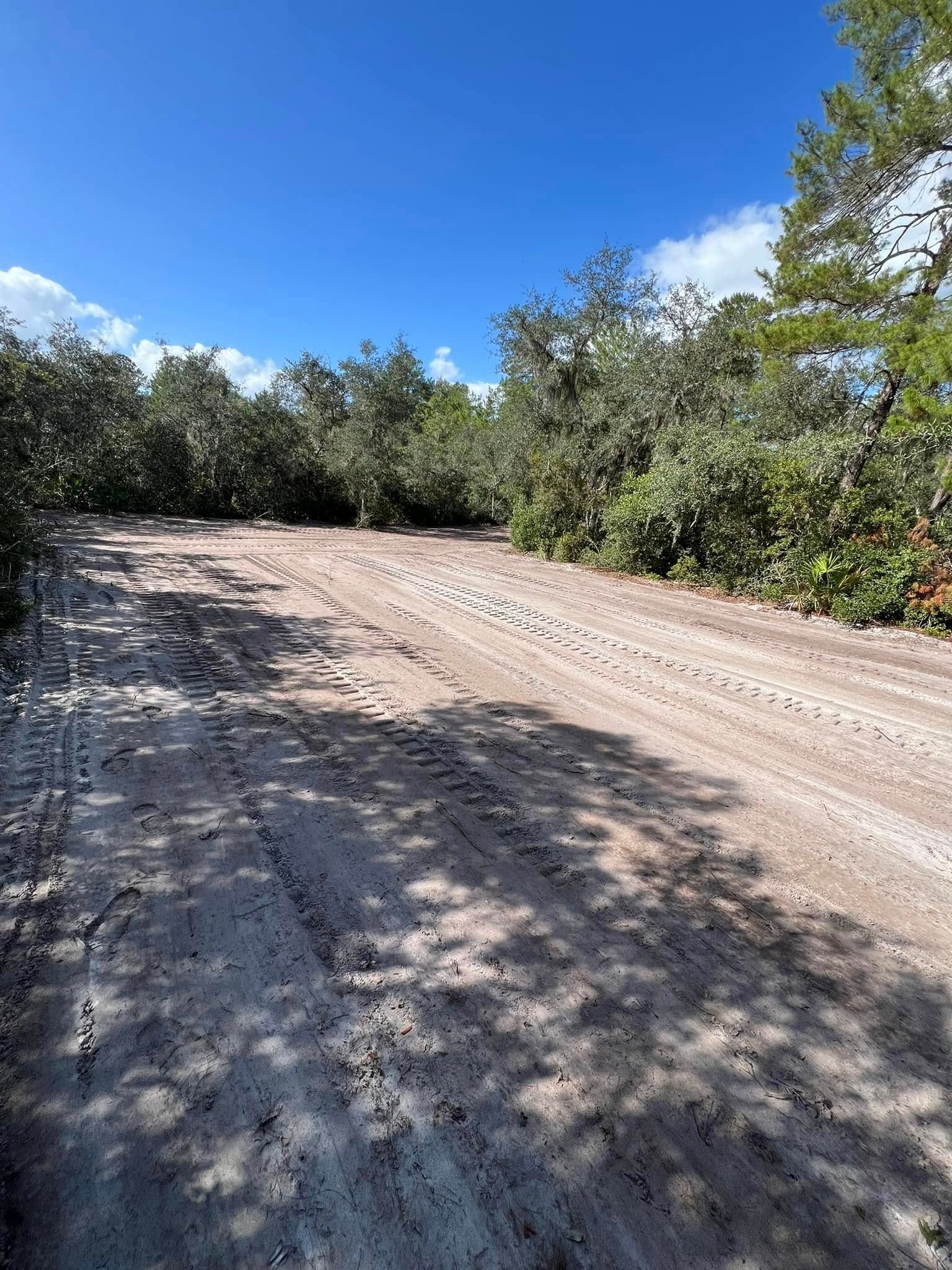 Dirt road with tire tracks, flanked by green foliage under a blue sky.
