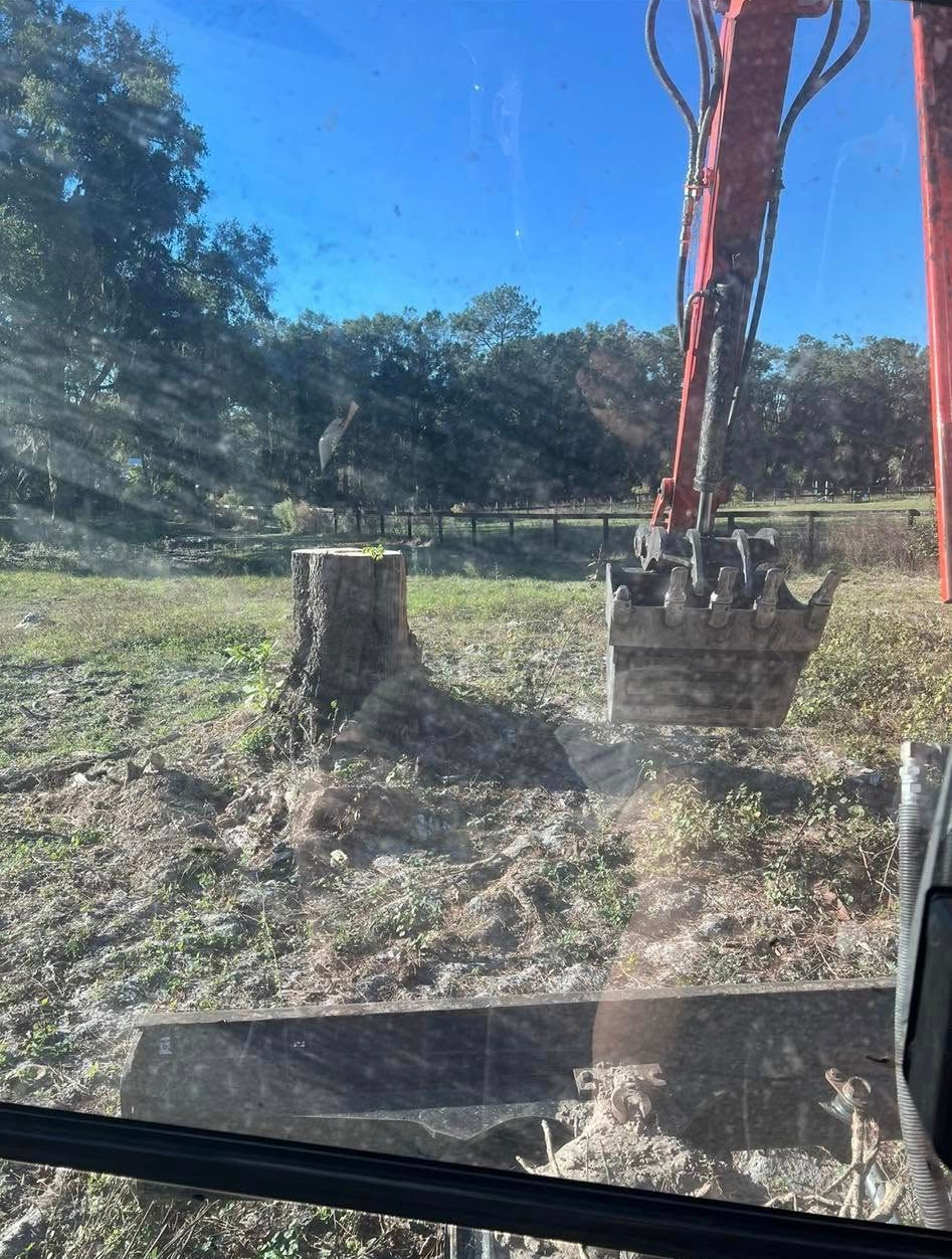 An excavator near a tree stump in a grassy field on a sunny day.