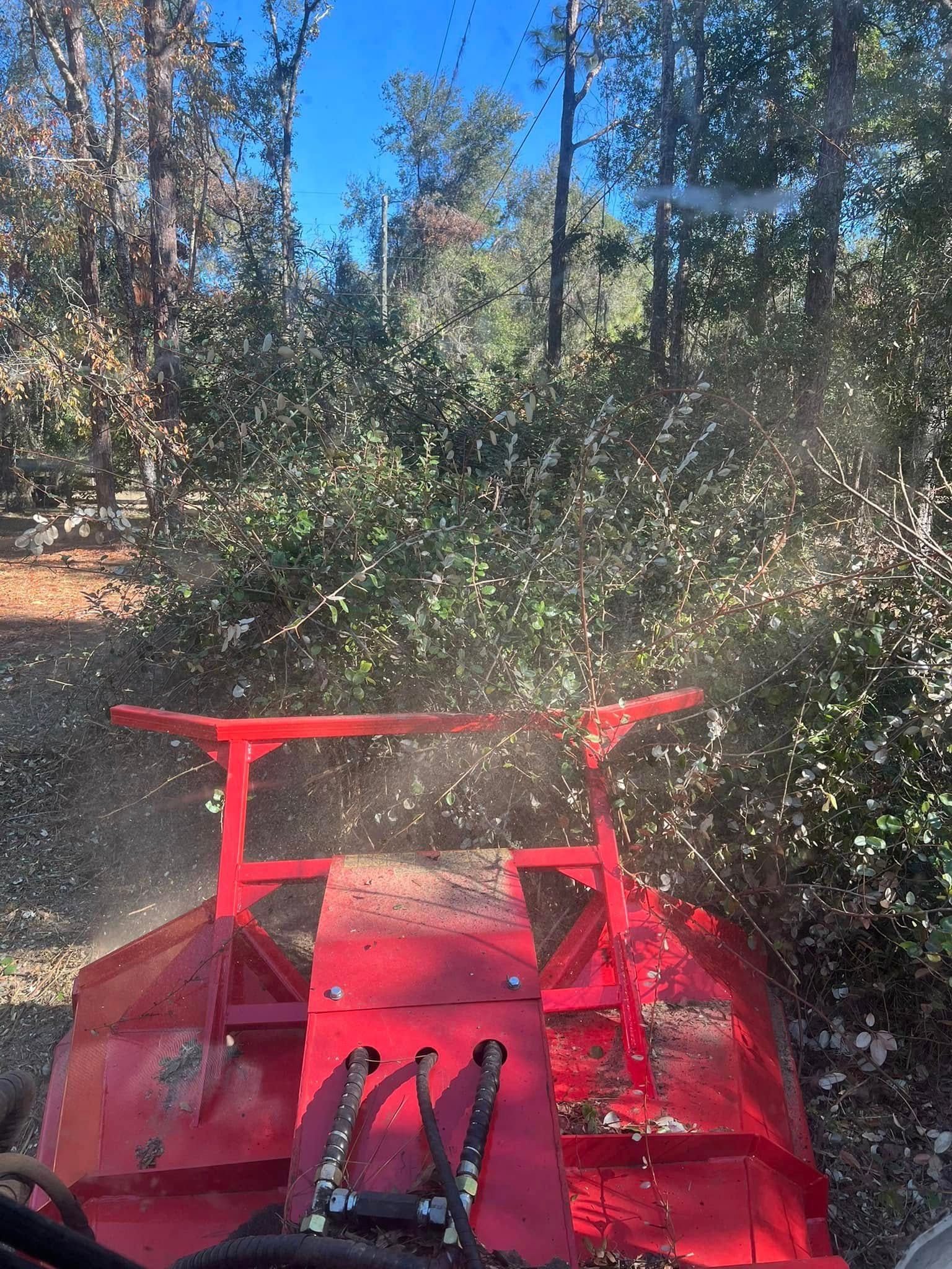 Red brush hog cutting brush in a wooded area on a sunny day.