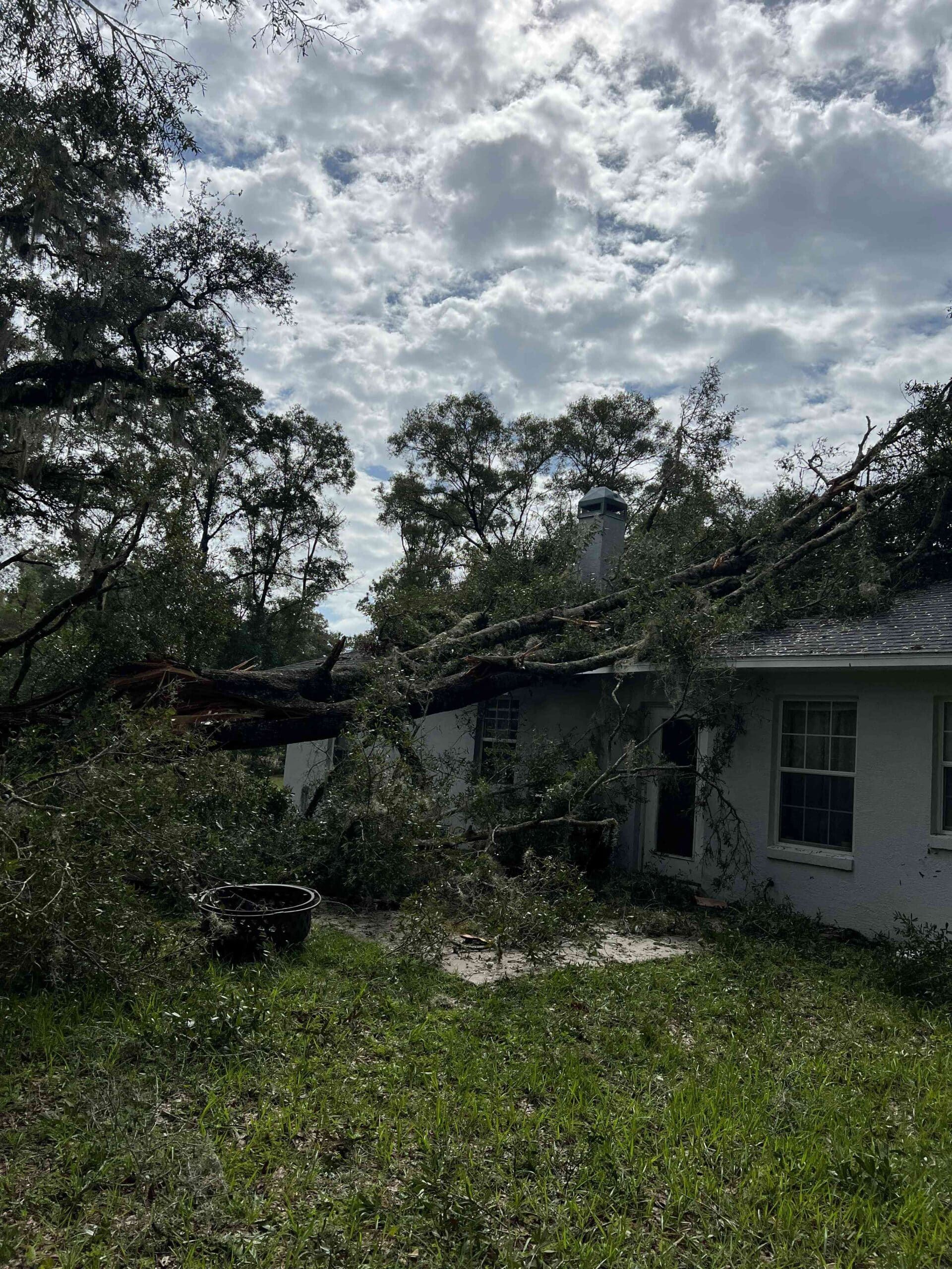 A house with a fallen tree on the roof under a cloudy sky. Green grass and trees in the foreground.