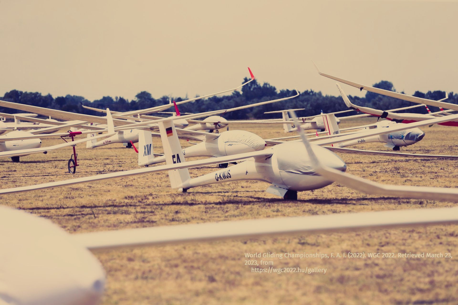 FÉDÉRATION AÉRONAUTIQUE INTERNATIONALE WORLD AIR SPORTS FEDERATION, FAI