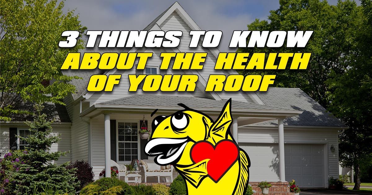 3 Things To Know About The Health of Your Roof