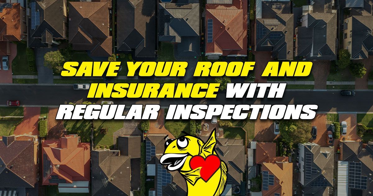 Save Your Roof and Insurance with Regular Inspections