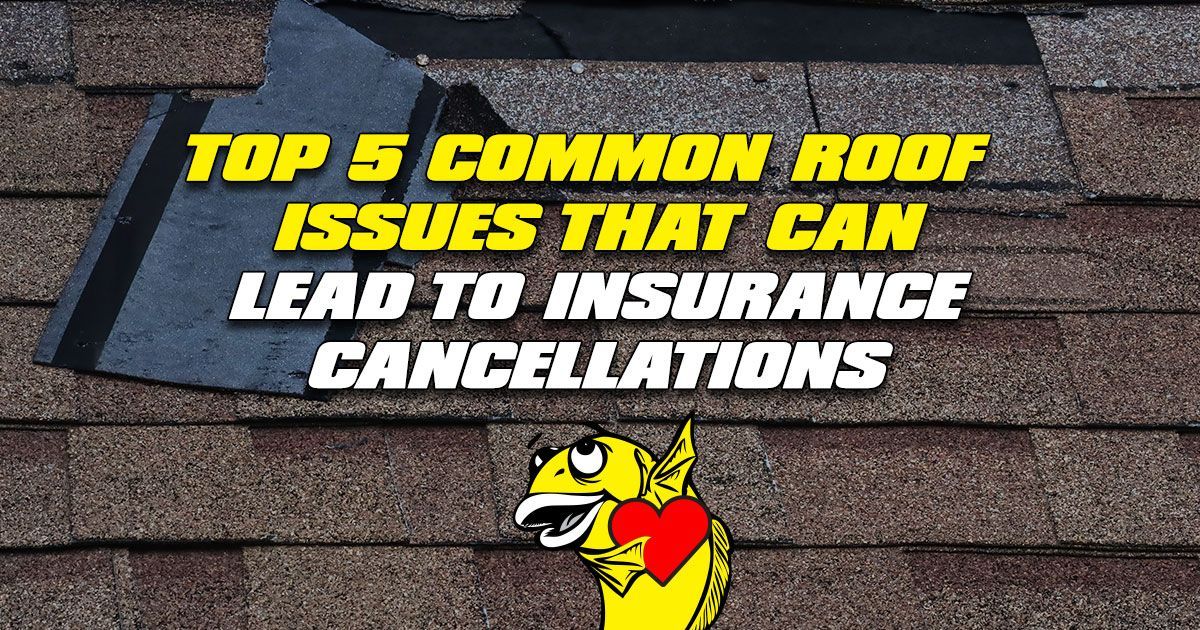 Top 5 Common Roof Issues That Can Lead to Insurance Cancellations