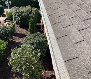 Gutters | The Big Fish More Than Just Roofing