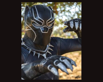Black Panther Costume Character