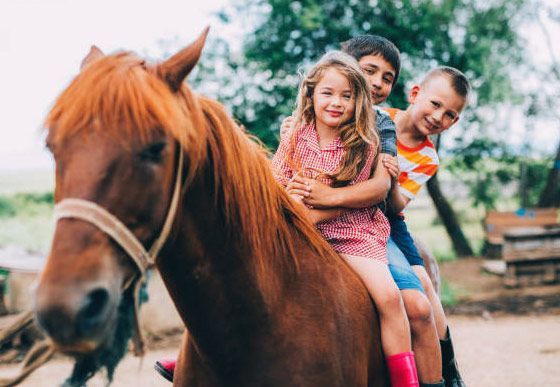 Pony Rides & Petting Zoo Rentals Grass Valley, CA