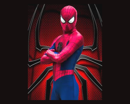 Spiderman Costume Character