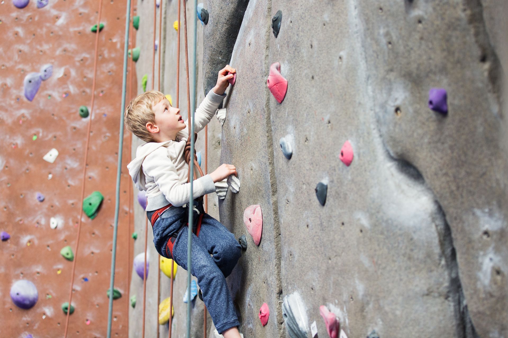 Climbing Rockwall Rentals 