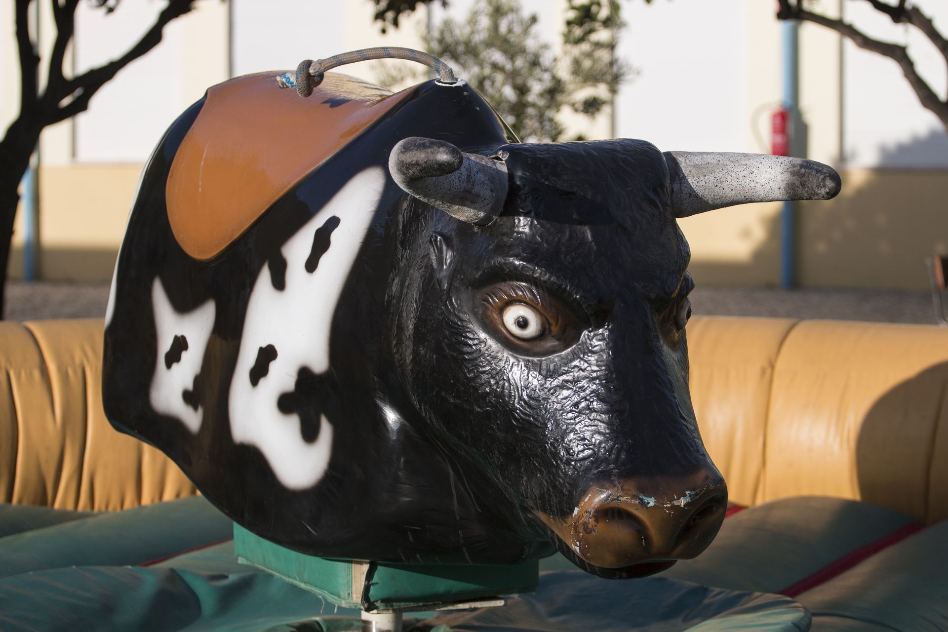 Mechanical Bull Rentals