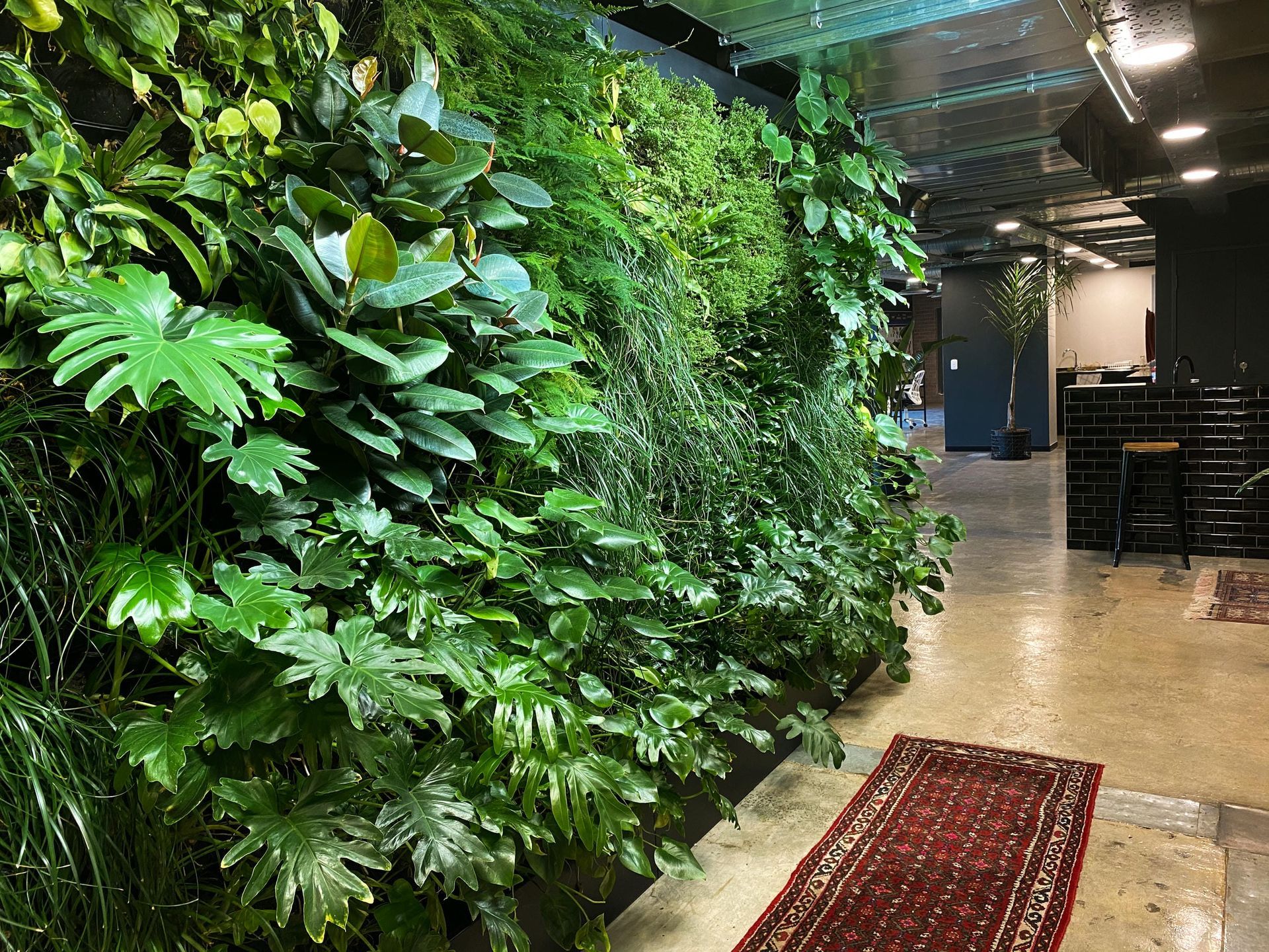 A living wall filled with lots of green plants in a hallway.