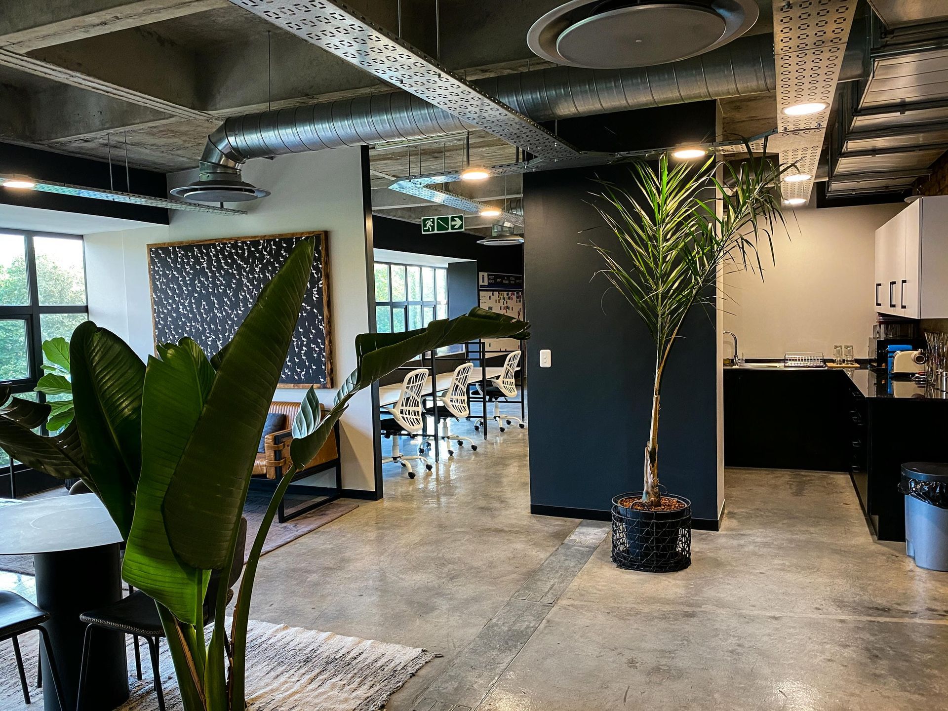 A large room with a potted plant in the middle of it.