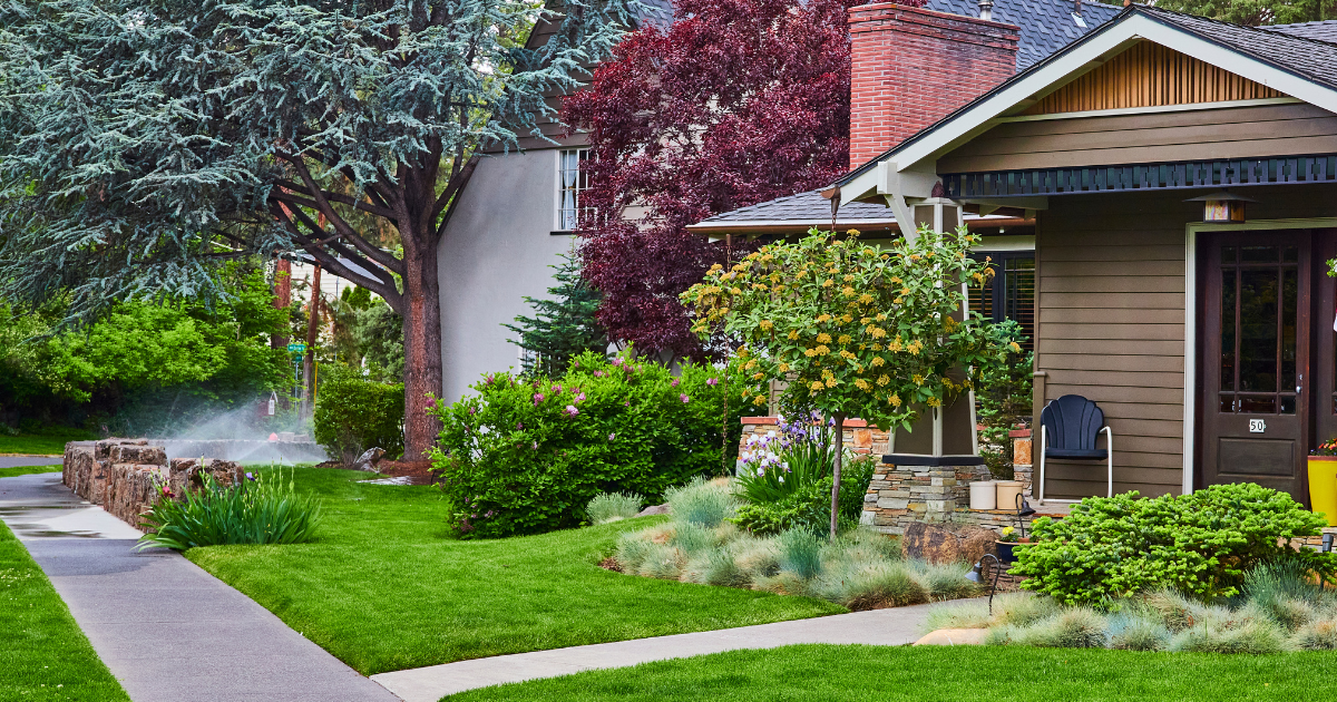 Suburban front yard with lush green lawn, flowering shrubs, and a house porch beside a sidewalk