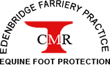 Clive Meers Rainger - Equine Foot Protection